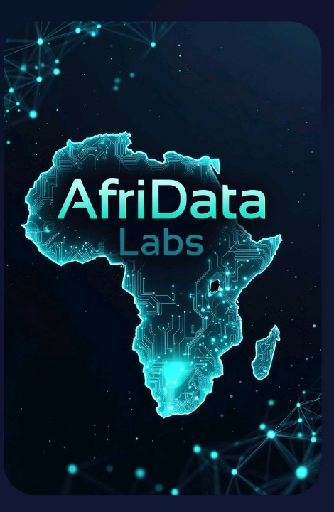 AfriData Labs